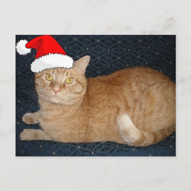 Christmas Orange Tabby Cat Holiday Postcard (Front)