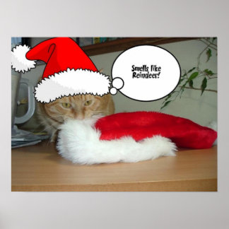 Christmas Orange Tabby Cat Poster
