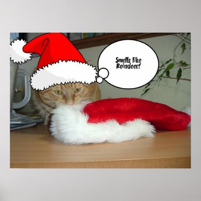 Christmas Orange Tabby Cat Poster (Front)