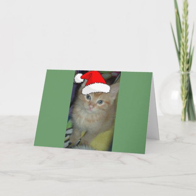 Christmas Orange Tabby Kitten Holiday Card (Front)