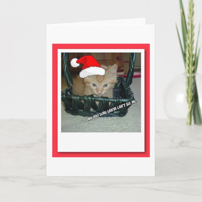 Christmas Orange Tabby Kitten Holiday Card (Front)