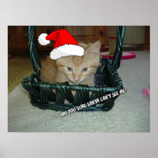 Christmas Orange Tabby Kitten Poster