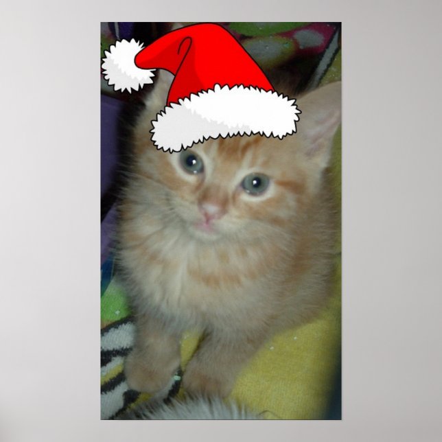 Christmas Orange Tabby Kitten Poster (Front)