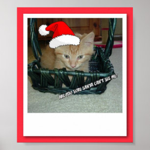 Christmas  Orange Tabby Kitty Cat Poster