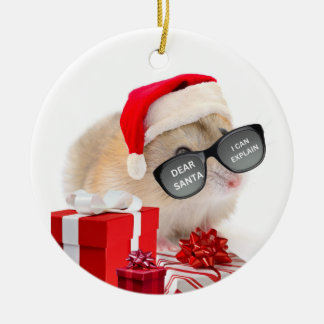 Christmas Ornament