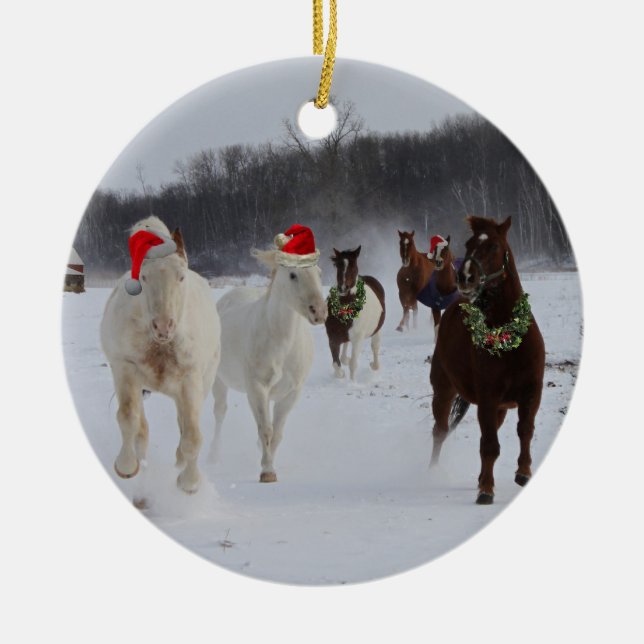 Christmas Ornament (Front)