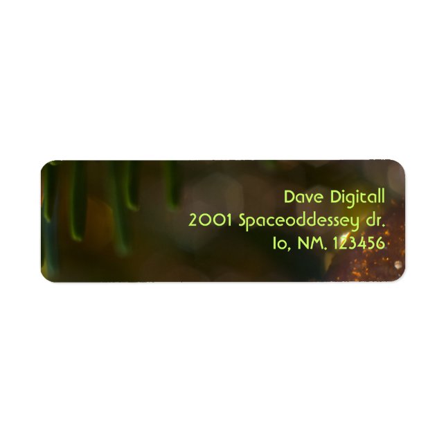 Christmas Ornament 7 (Front)