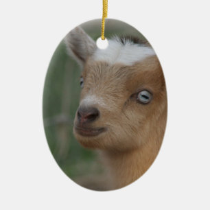CHRISTMAS ORNAMENT BABY BLUE EYED GOAT