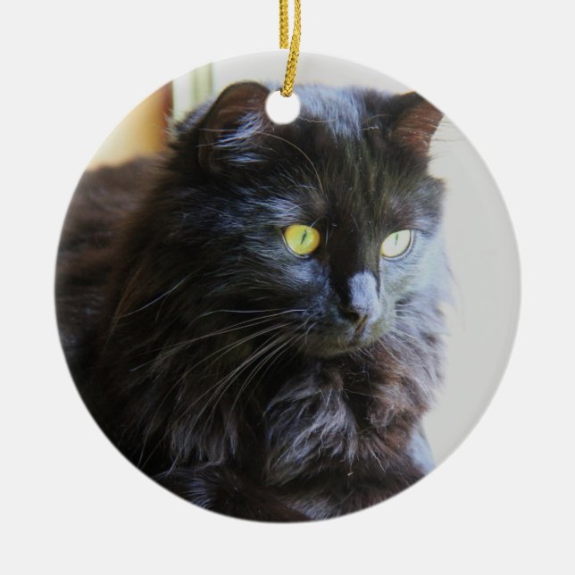 Christmas Ornament, Black Cat Ceramic Tree Decoration (Front)