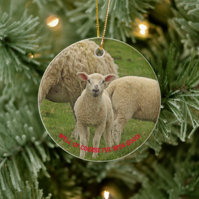 Christmas ornament featuring lamb (Tree)