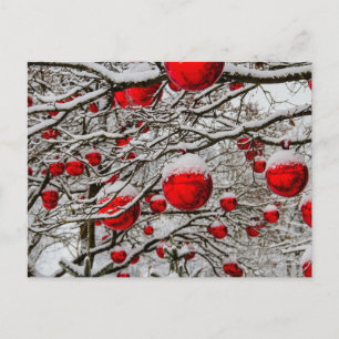 Christmas ornaments red baubles tree snow branches holiday postcard