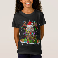Christmas Owl Cute Christmas Lights Reindeer Santa