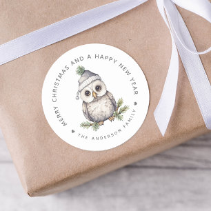Christmas Owl Personalised Gift And Envelope Classic Round Sticker