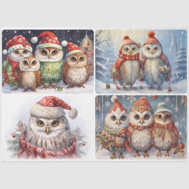 Christmas Owls  Tissue Paper (Front)