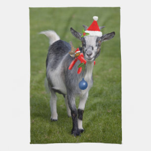 Christmas Pals Kitchen Towel