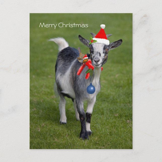Christmas Pals Postcard (Front)