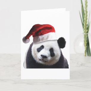 Christmas Panda Bear Holiday Card