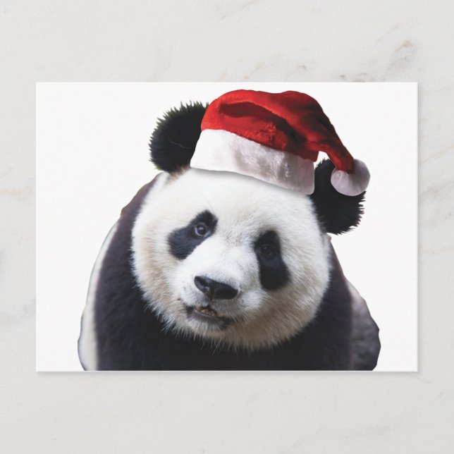 Christmas Panda Bear with Santa Hat Holiday Postcard (Front)