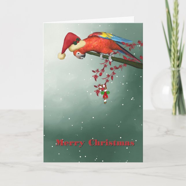 Christmas Parrot Holiday Card (Front)