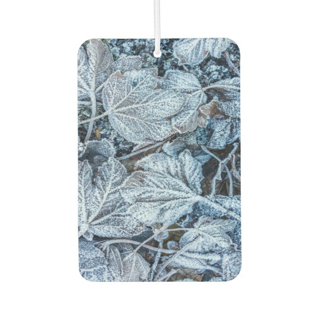 Christmas Party Blue Leaves Snow Holidays Winter Car Air Freshener (Front)