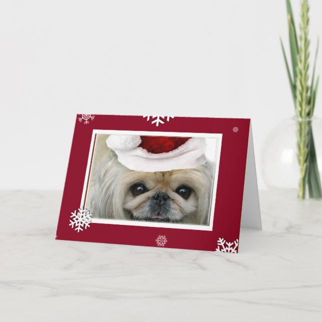 Christmas Pekingese greeting card (Front)