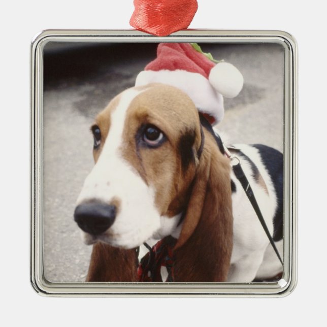 Christmas Pet Photo  Holidays Xmas Metal Tree Decoration (Front)