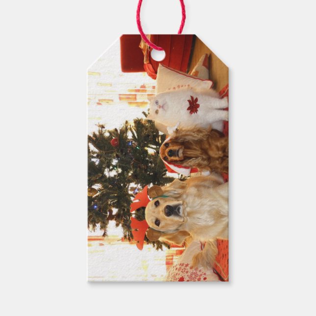 Christmas Pets Cute  Gift Tags (Front)