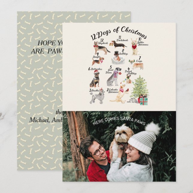 Christmas Photo 12 Dogs Christmas with Santa Paws Card (Front/Back)