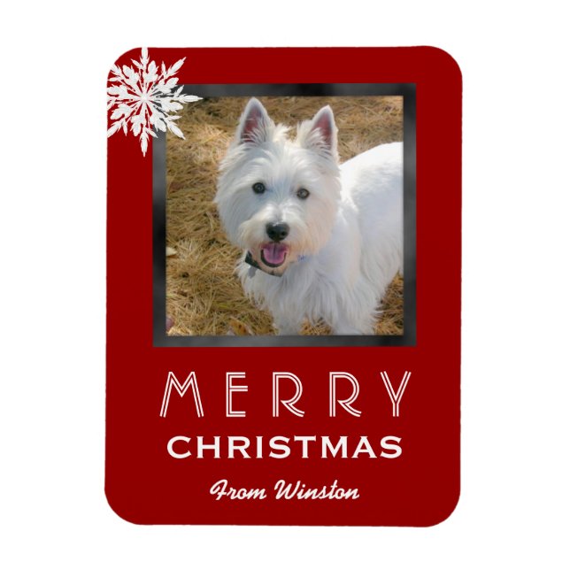 Christmas Photo 3x4 Greeting From the Dog / Pet Magnet (Vertical)