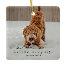 Christmas Photo Pet Ornament - define naughty