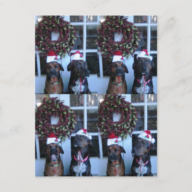 christmas pic for students holiday postcard (Front)