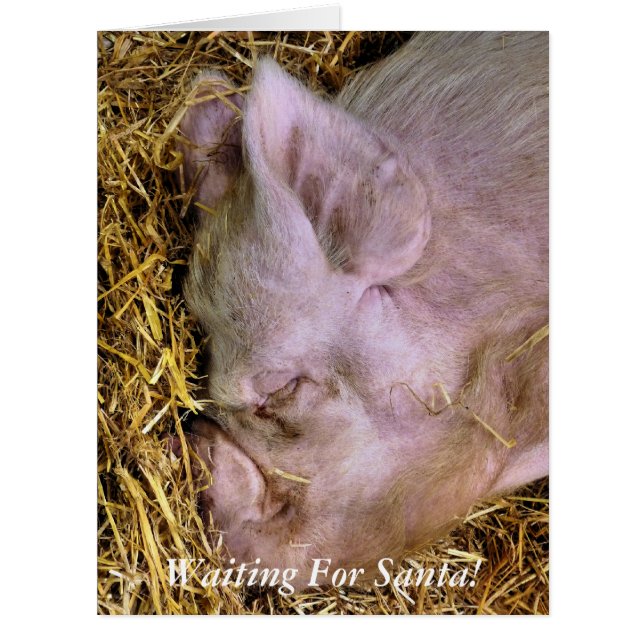 CHRISTMAS PIG CARD (Front)