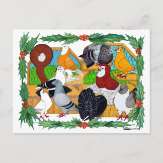 Christmas Pigeons Holiday Postcard