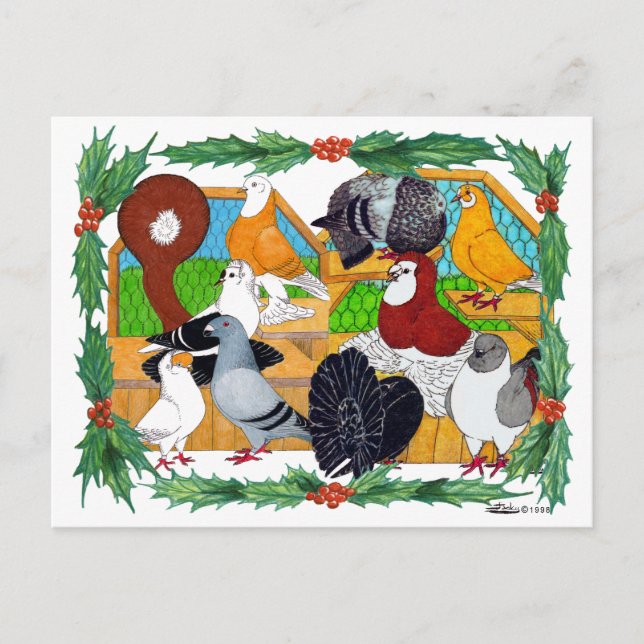 Christmas Pigeons Holiday Postcard (Front)