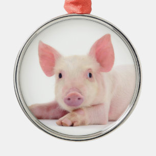 "CHRISTMAS PIGGY" CHRISTMAS ORNAMENT