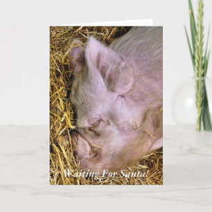 CHRISTMAS PIGS HOLIDAY CARD