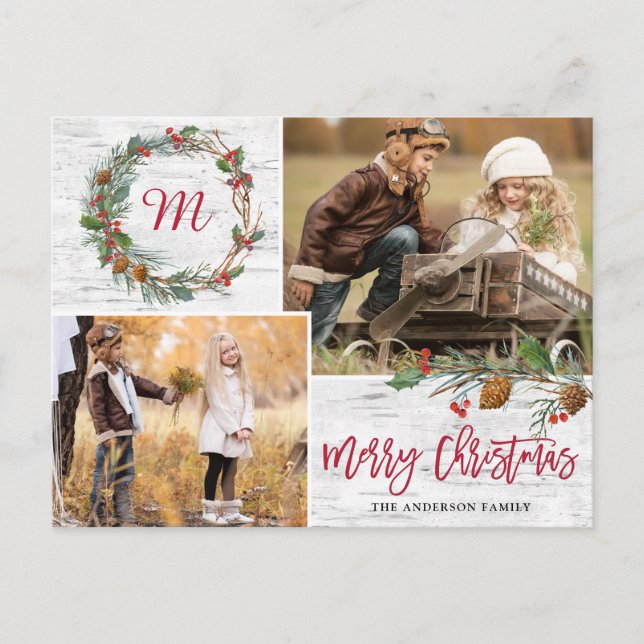 Christmas Pine Cones 2 PHOTOS Birch Bark Holiday Postcard (Front)