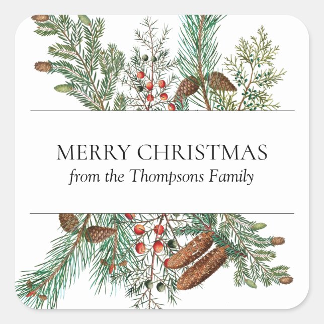 Christmas Pine Conifer Forest Festive Evergreen Square Sticker (Front)