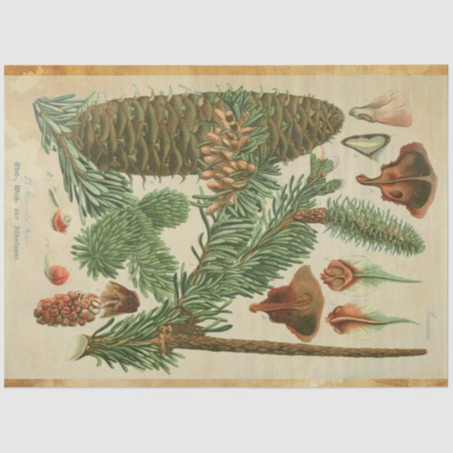 Christmas Pine Decoupage Tissue Paper (Front)
