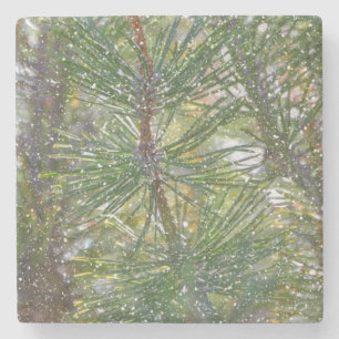 Christmas Pine Tree Snow Nature Art Winter Coaster