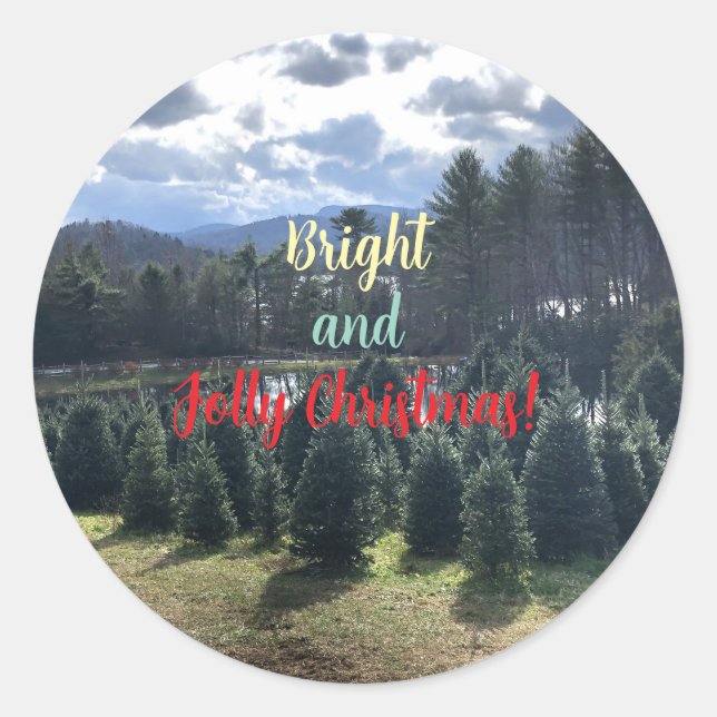 Christmas Pine Trees Stickers (Front)