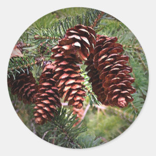 Christmas Pinecone Arrangement Happy Holidays Classic Round Sticker