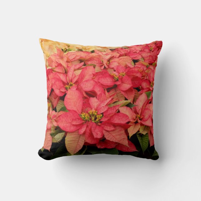 Christmas Pink and Yellow Poinsettia Throw Pillow (Front)