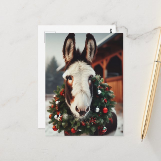 Christmas Pinto Donkey Postcard (Front/Back In Situ)