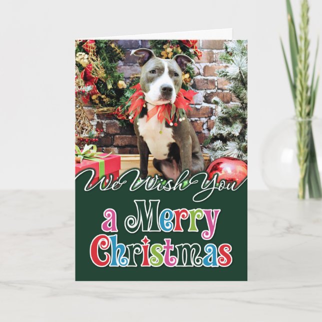 Christmas - Pitbull - Charm Holiday Card (Front)
