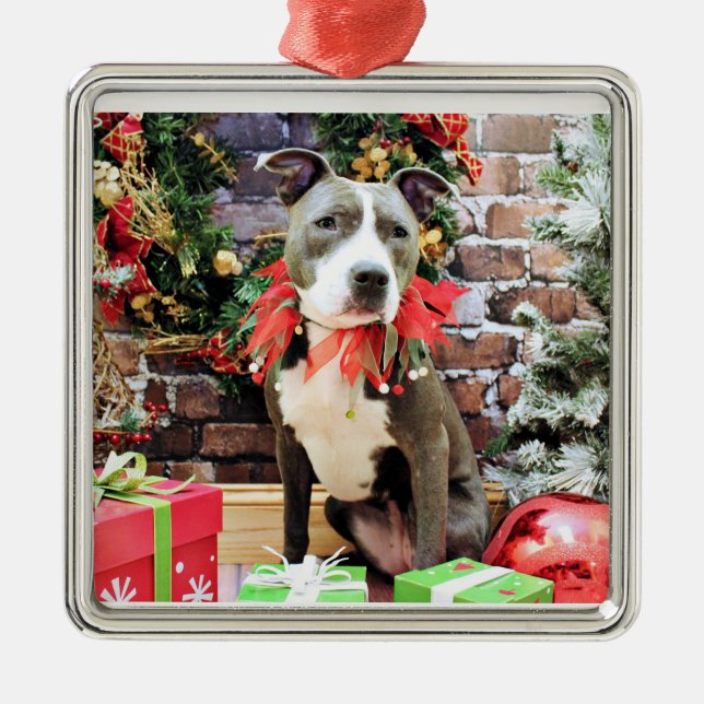 Christmas - Pitbull - Charm Metal Tree Decoration (Front)
