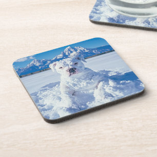 Christmas Pitbull Dog Snowman Coaster