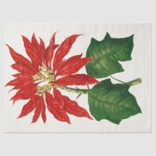 Christmas Poinsetta Flower Red Decoupage  Tissue Paper