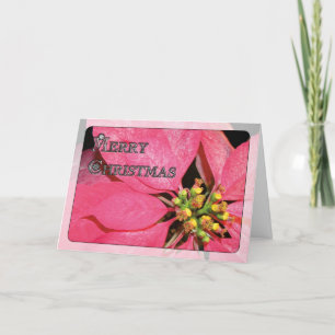 Christmas Poinsettia Holiday Card