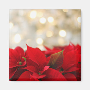 Christmas Poinsettia Magnet